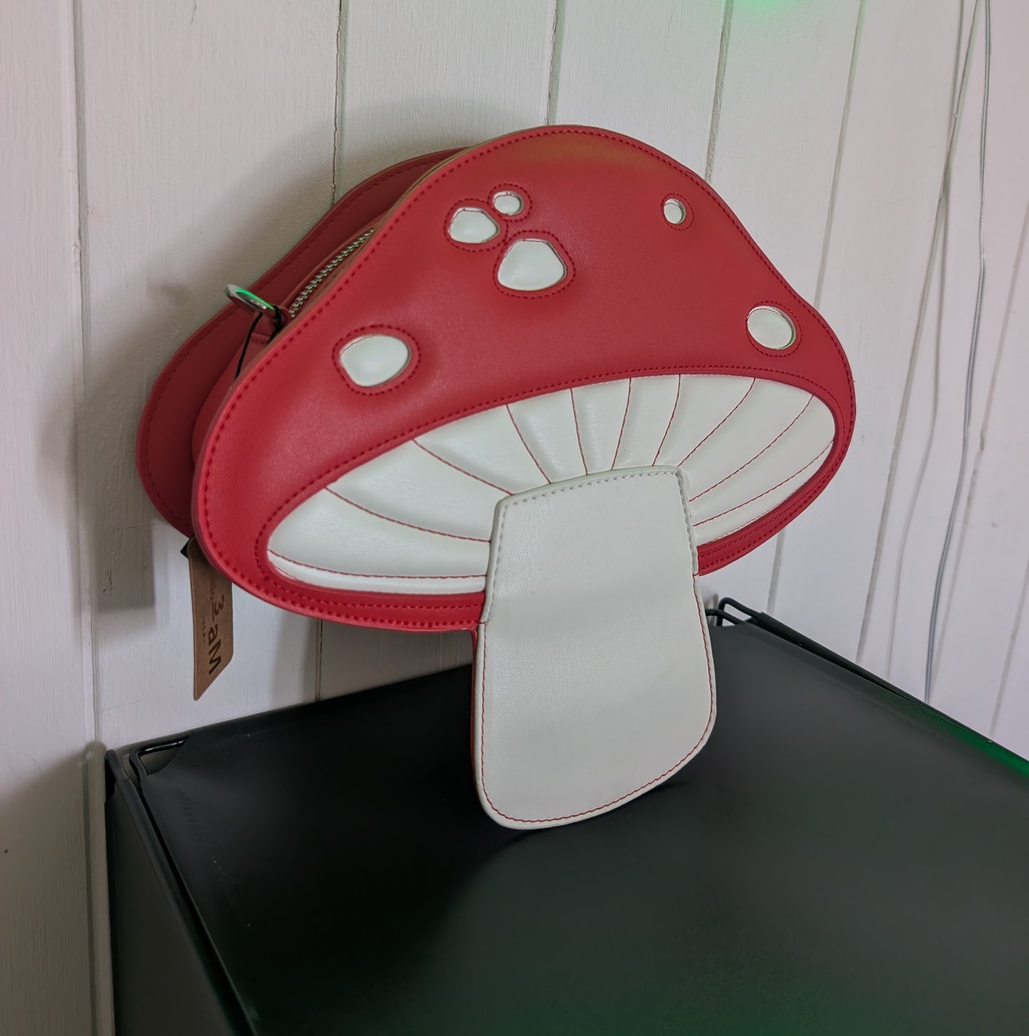 Mushroom bag